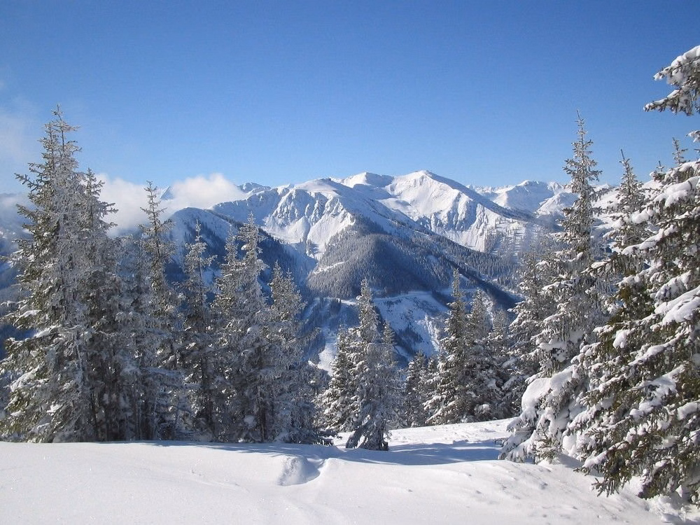 Sporthotel Kitz