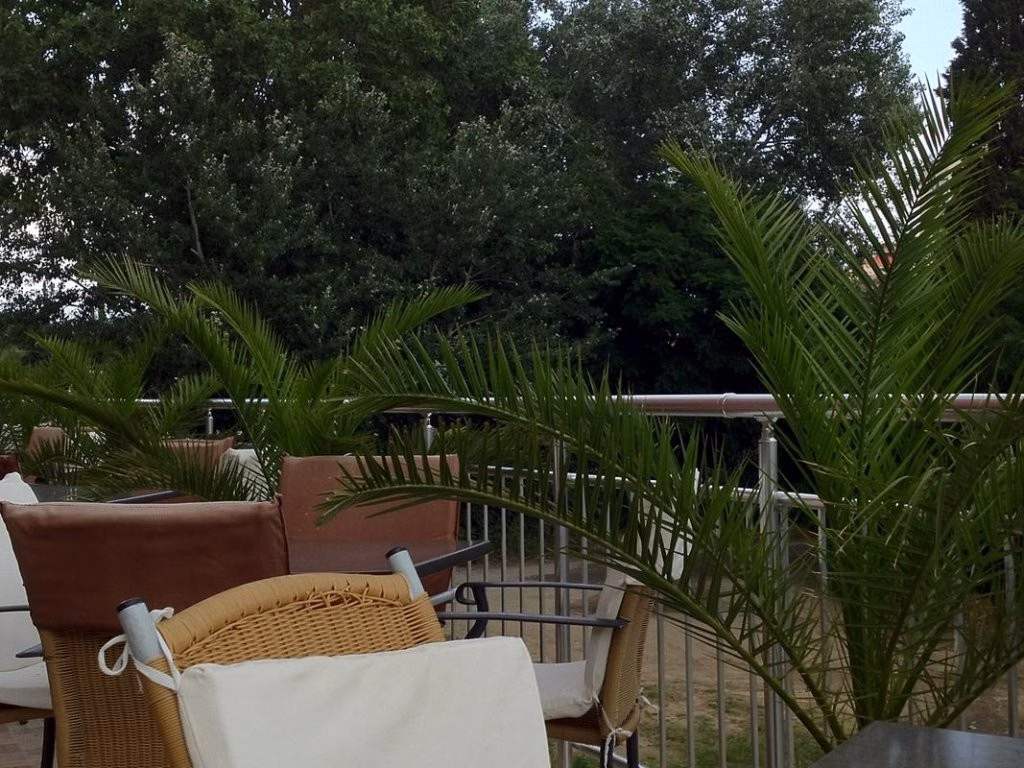 Hotel Tia Maria