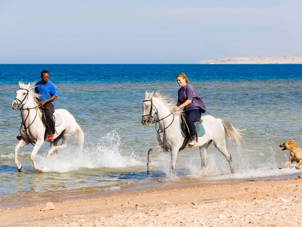 Mercure Hurghada