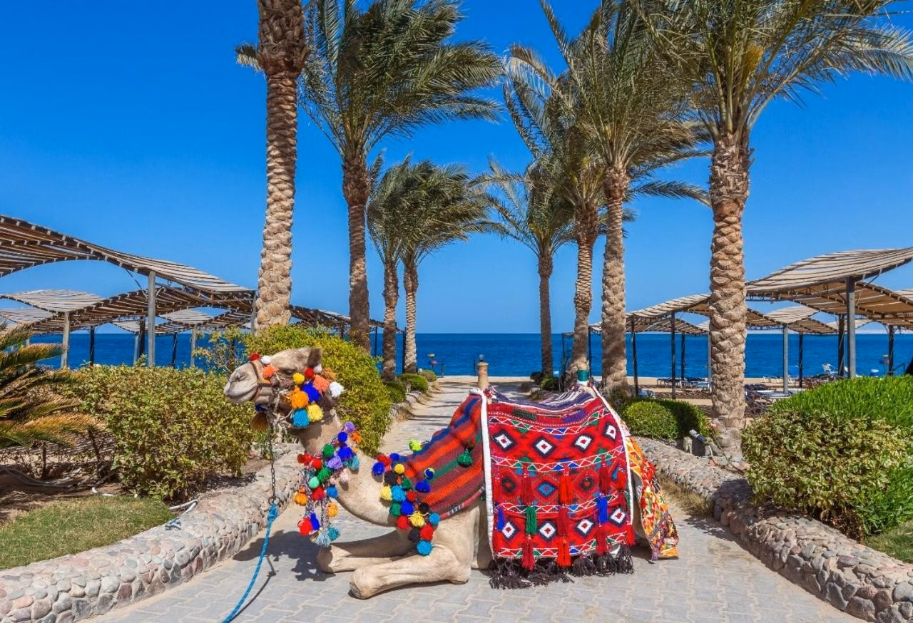 Sphinx Aqua Park Beach Resort