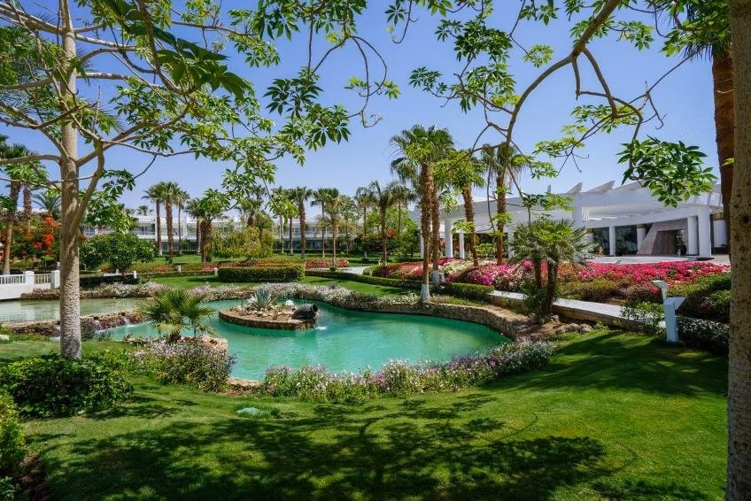 Monte Carlo Sharm Resort & SPA Hotel