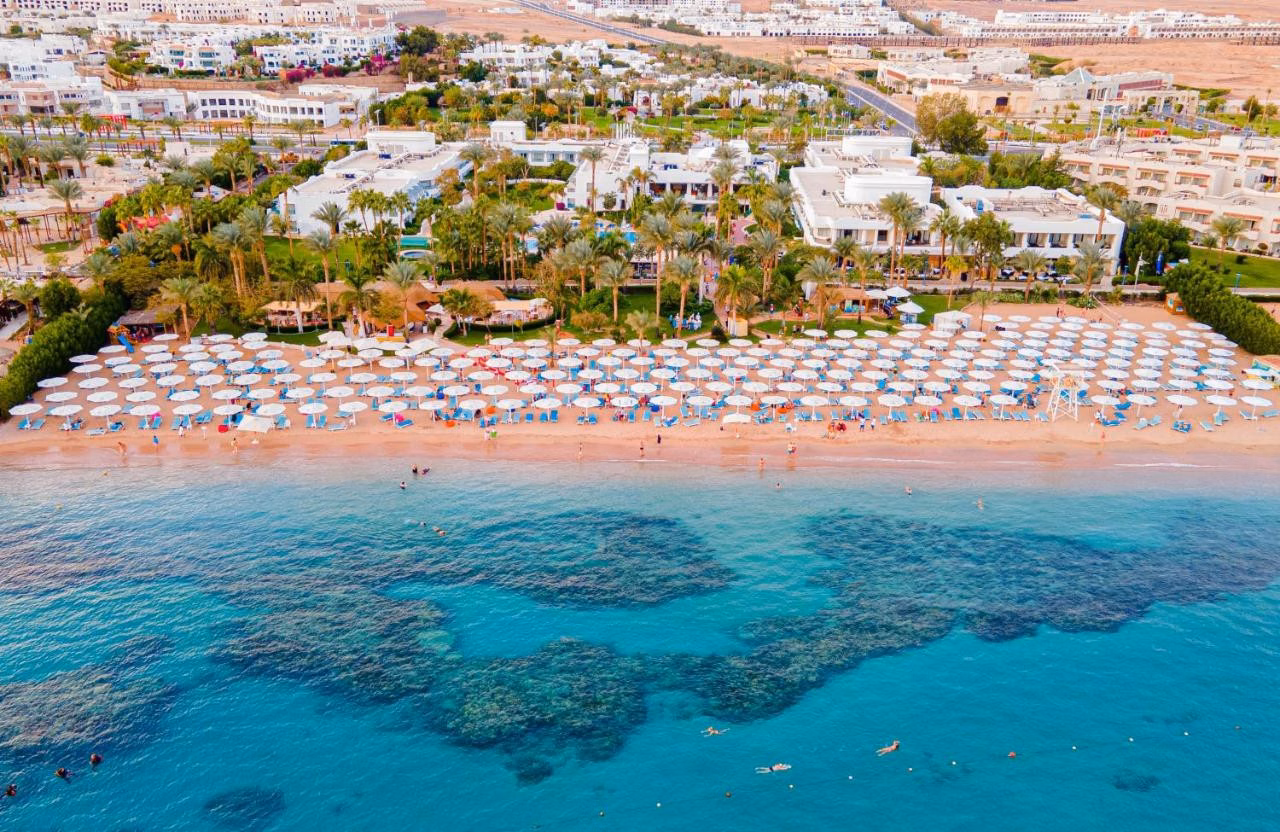 Novotel Palm