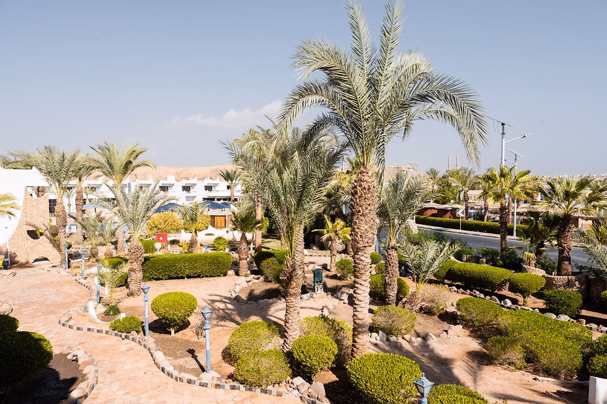 Turquoise Beach Hotel