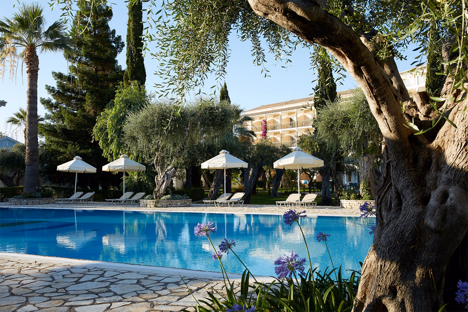 Delfinia Hotel Corfu