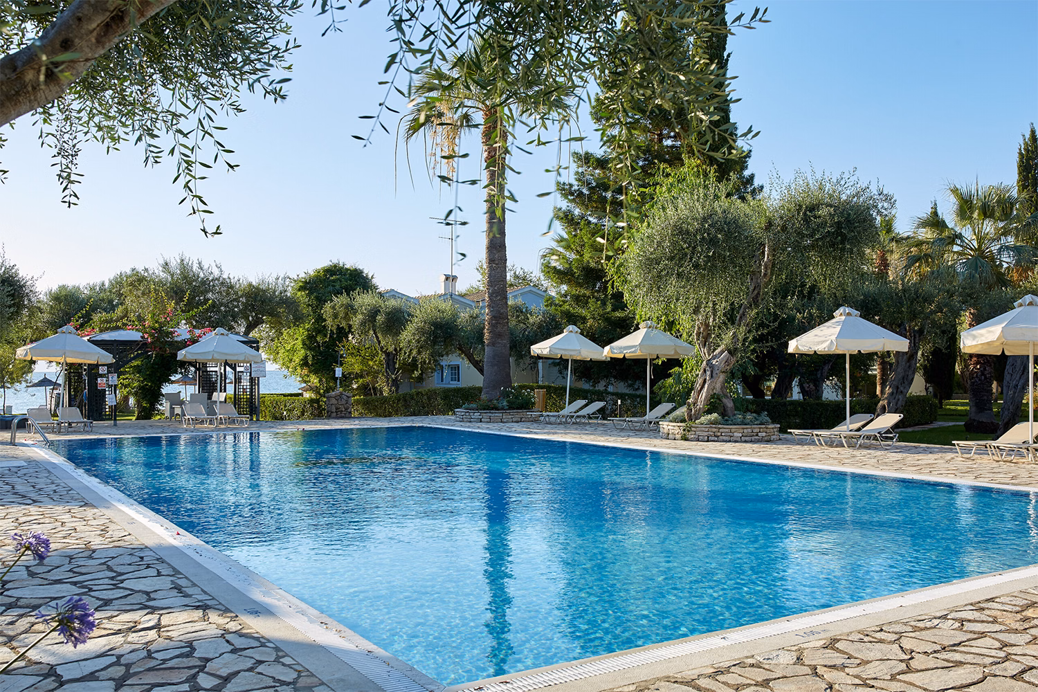 Delfinia Hotel Corfu
