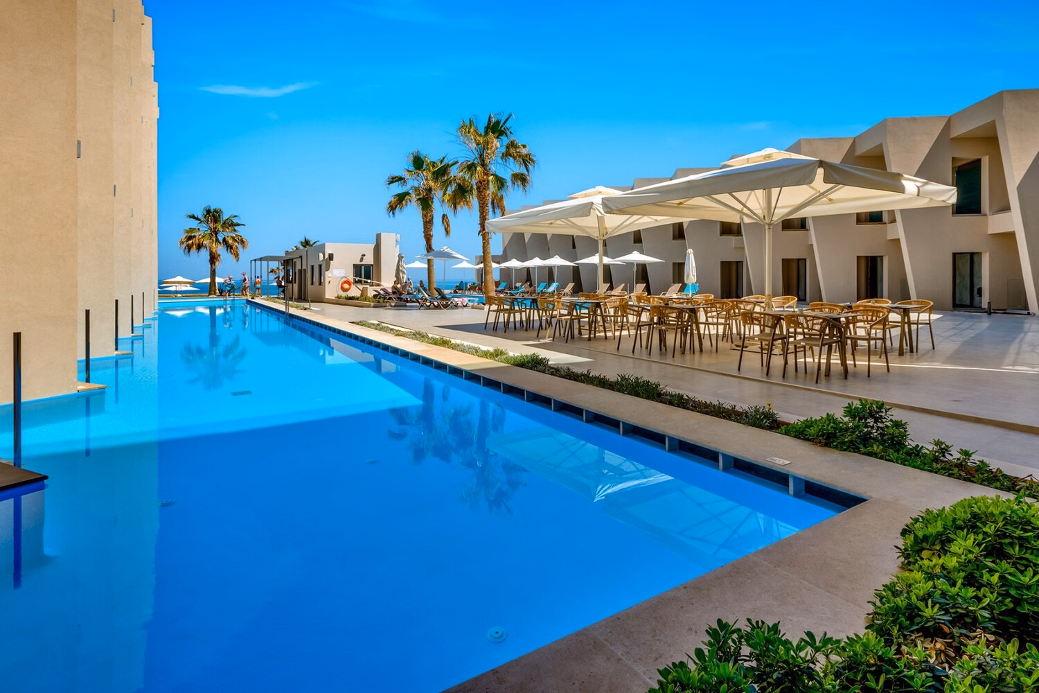 White Olive Elite Rethymno
