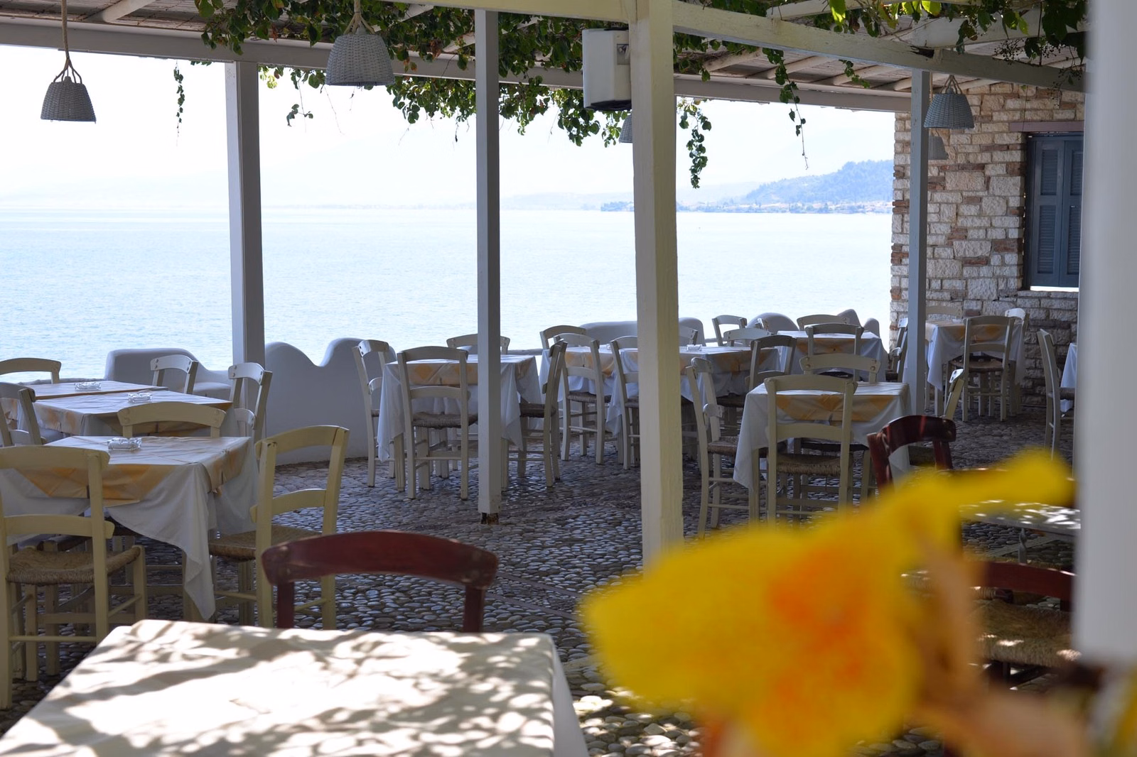 Taradella Hotel
