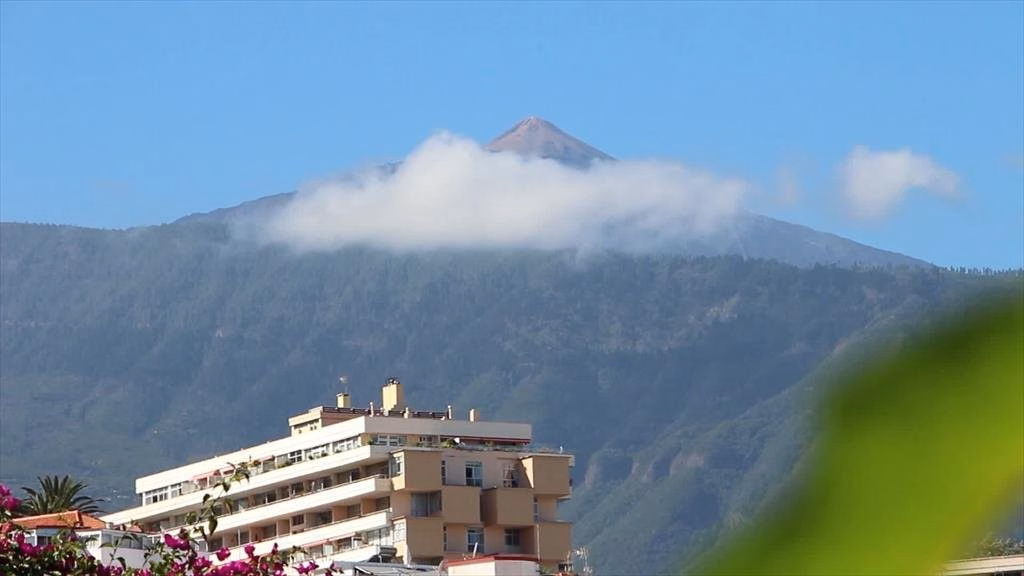 Apartamentos Pez Azul