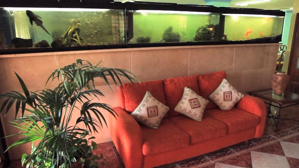 Globales Acuario