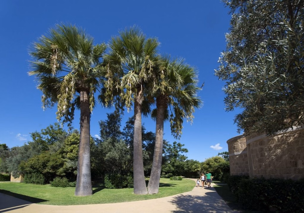 VOI Floriana Resort
