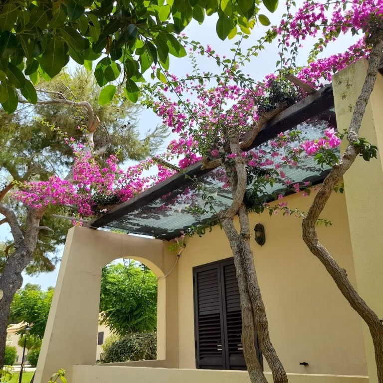 VOI Le Muse resort