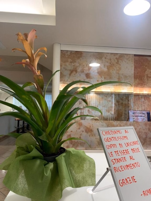Hotel Royal Plaza