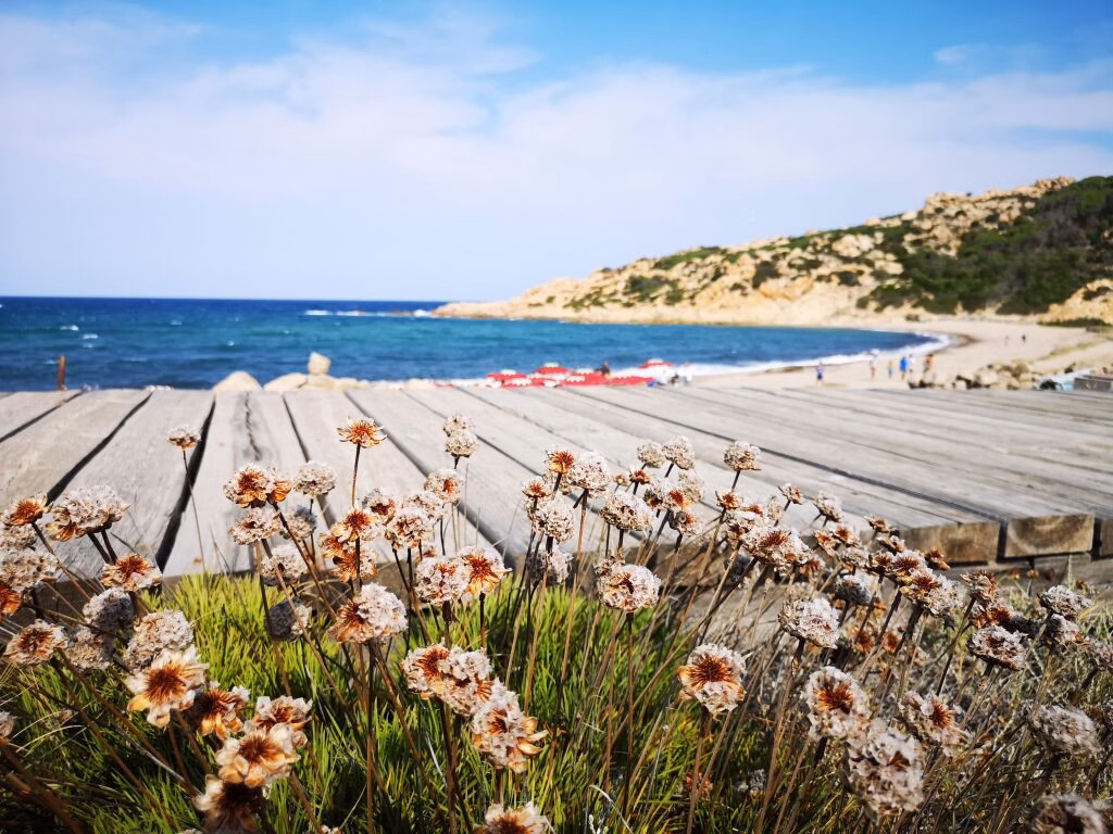 Club Esse Gallura