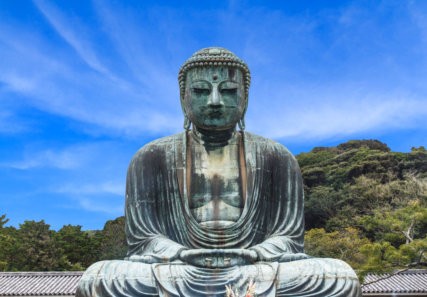 10 dienų pažintinė kelionė lėktuvu į Japoniją