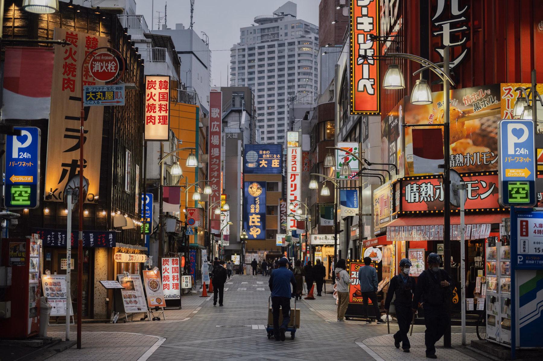10 dienų pažintinė kelionė lėktuvu į Japoniją