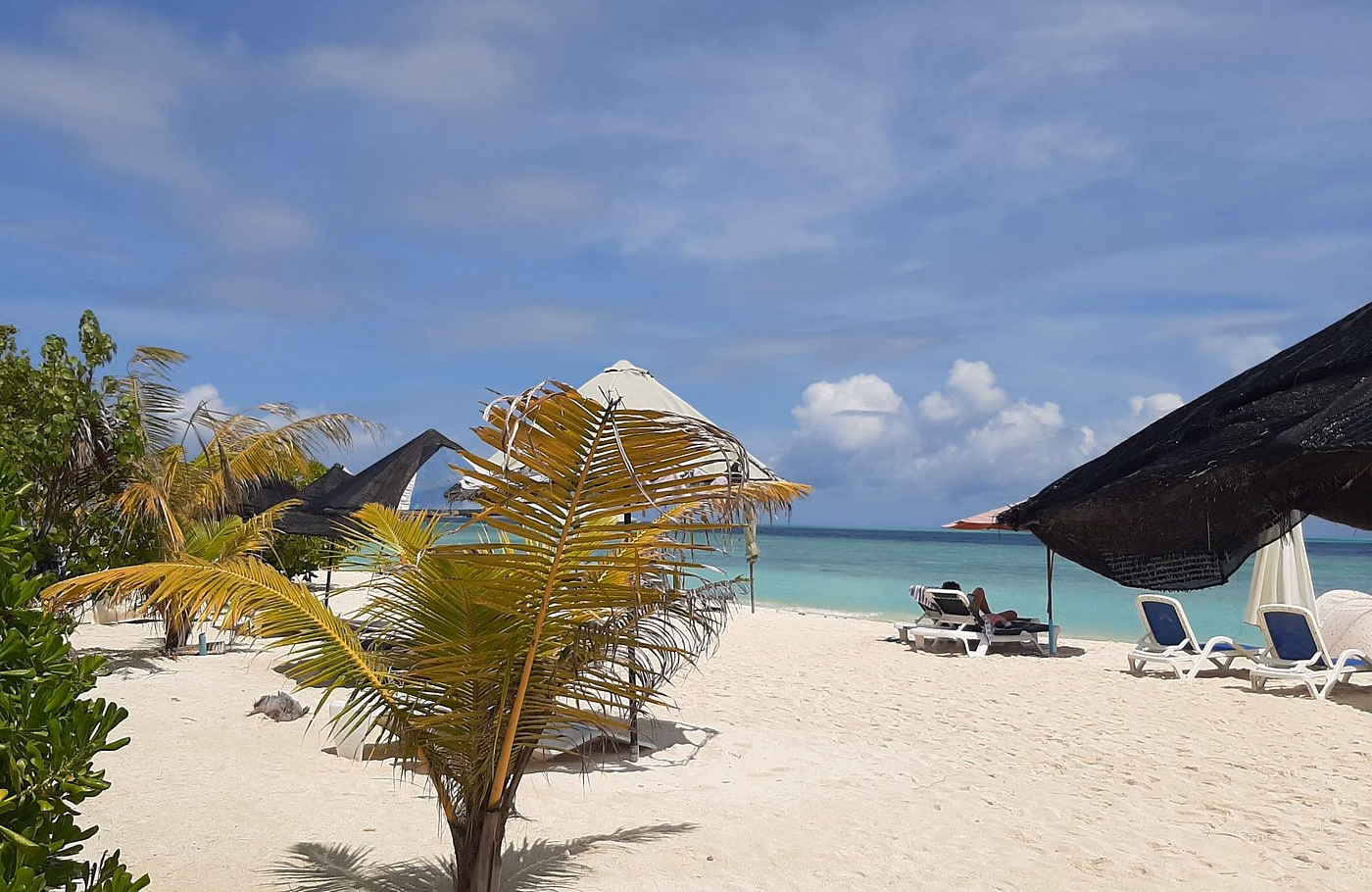 Ayala Ocean View