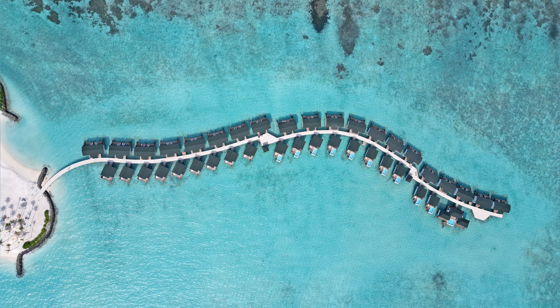Joy Island