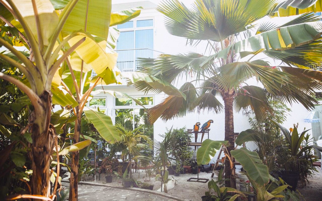 Perla Dhangethi Hotel