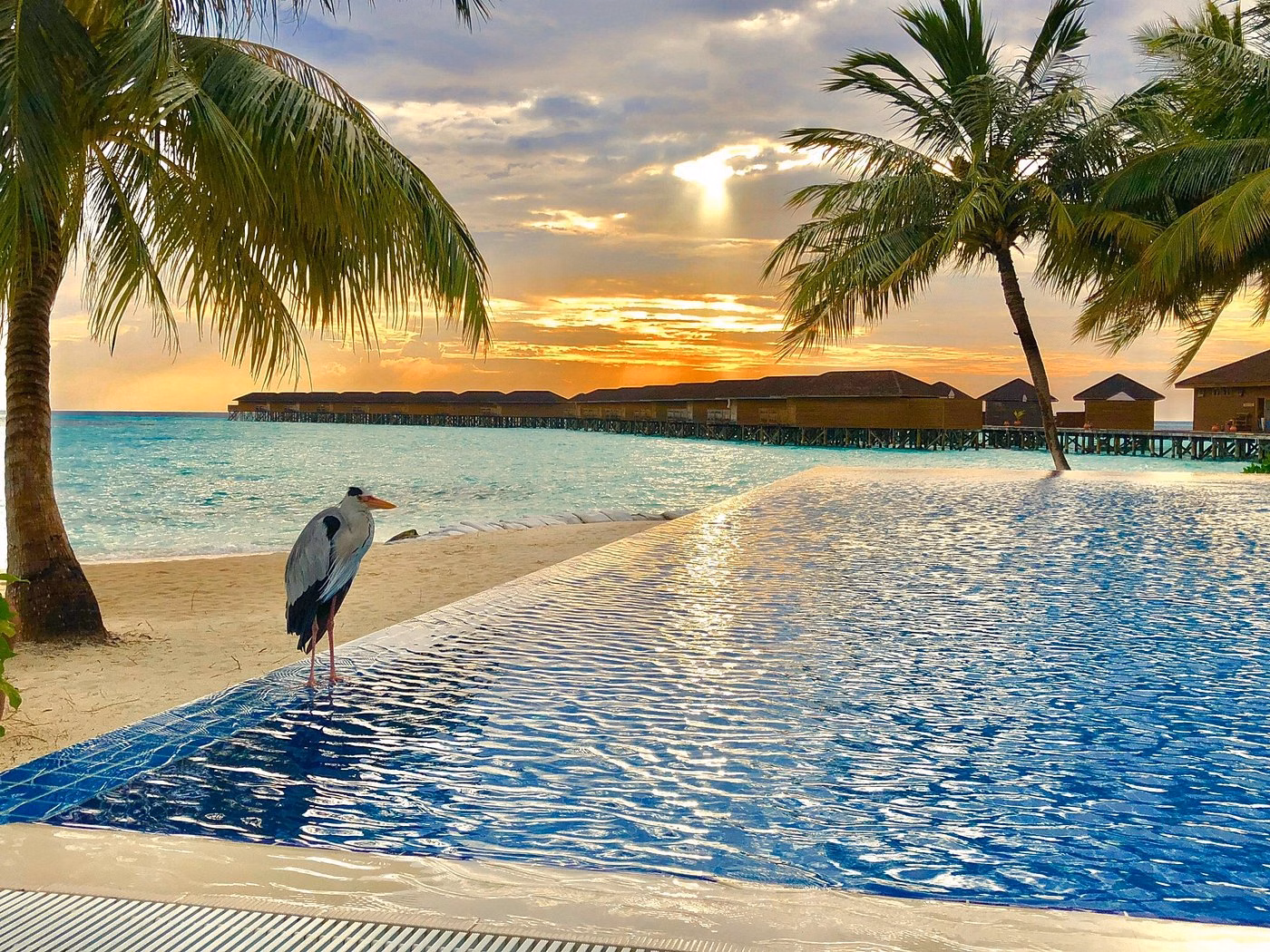 Vilamendhoo Island Resort & Spa