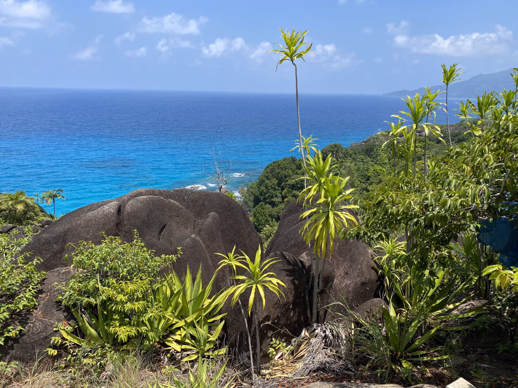 13 d. kelionė Seišeliuose: nuotykiai Mahe, Praslin ir La Digue salose