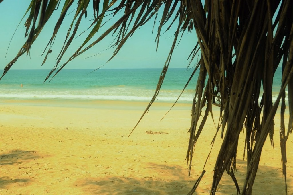 Serendib Beach Hotel