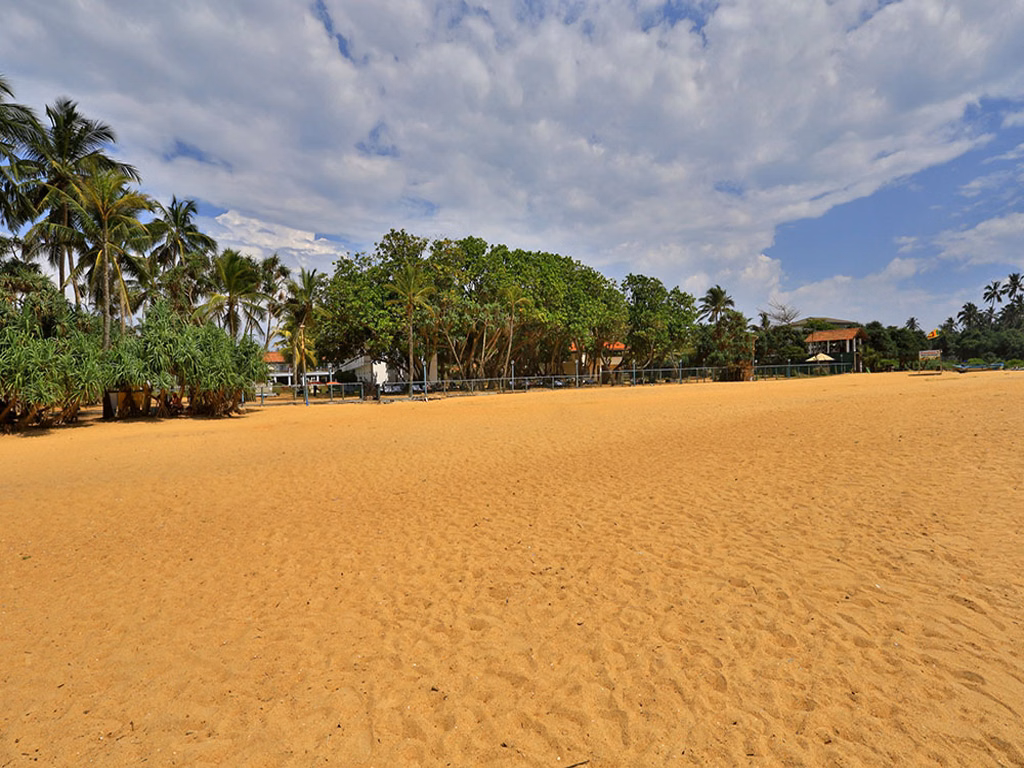 Hibiscus Beach Hotel And Villas