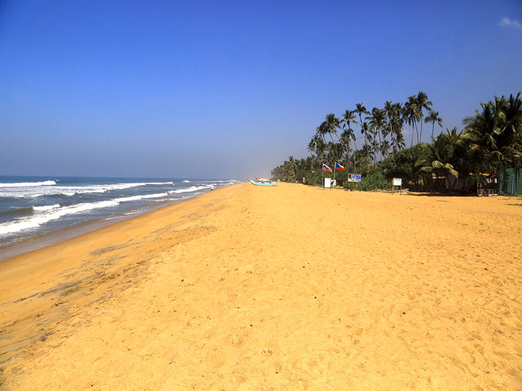 Hibiscus Beach Hotel And Villas