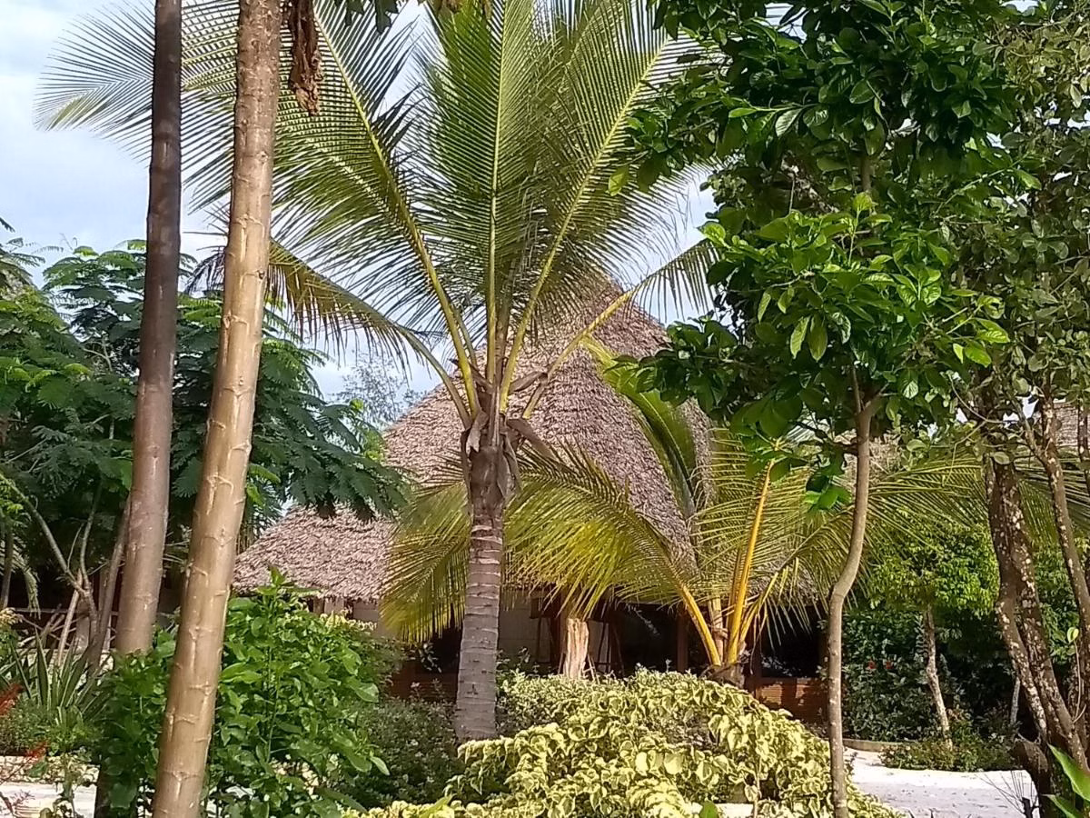 Marafiki Bungalows
