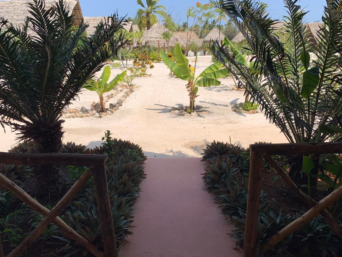 New Jambo Bungalows