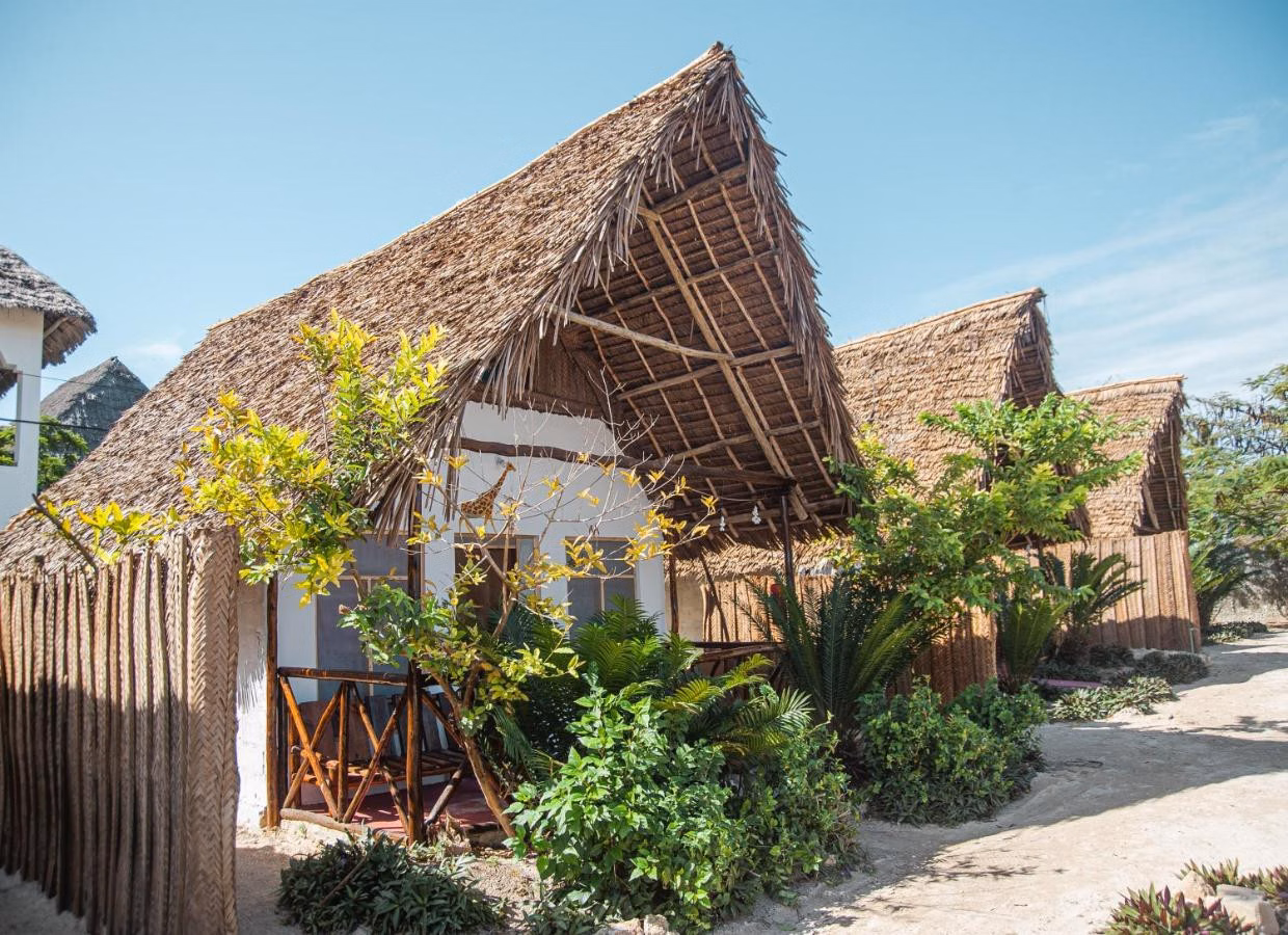 New Jambo Bungalows