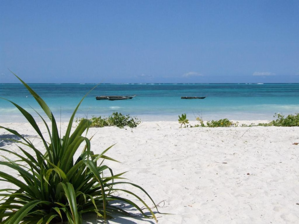 Next Paradise Boutique Resort