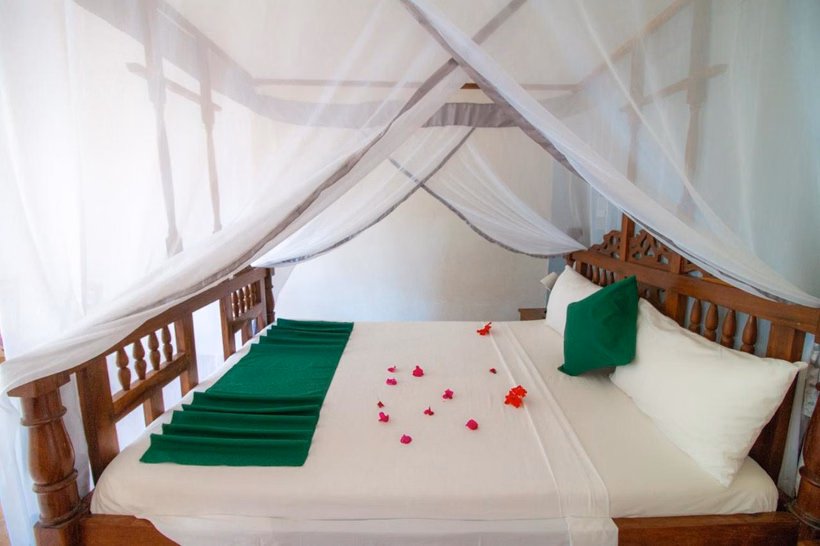 Tanzanija, Zanzibaras