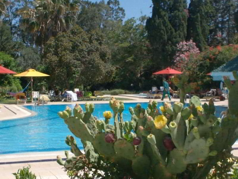 Regency Hammamet