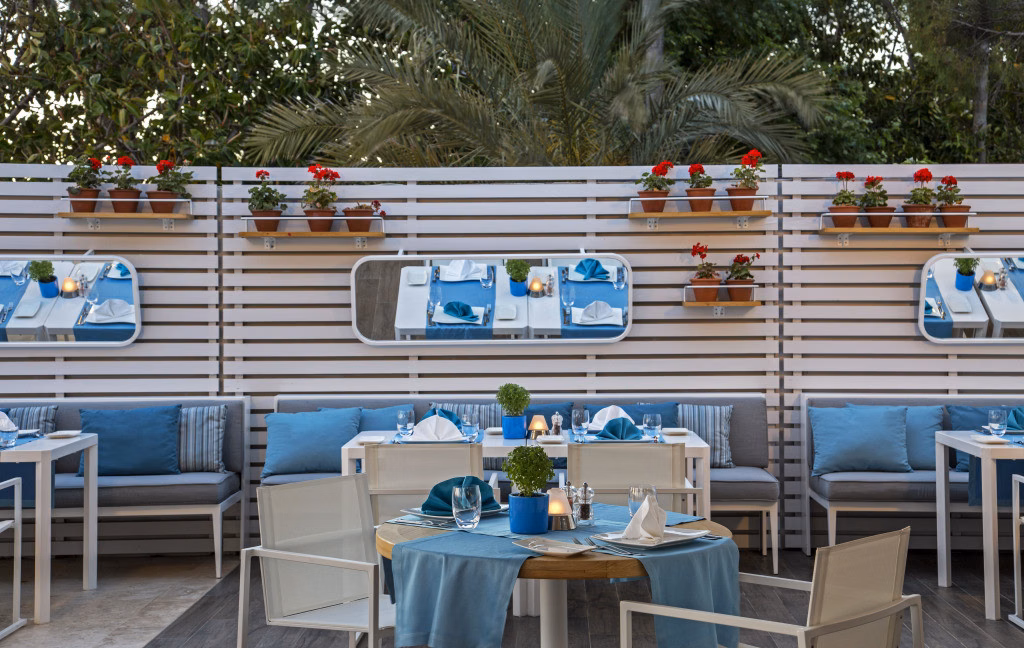 Acanthus Cennet Barut Collection