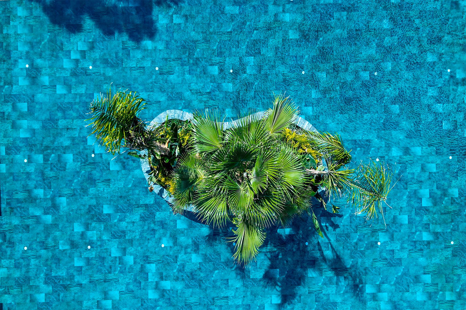 FashionTV Luxe Resort