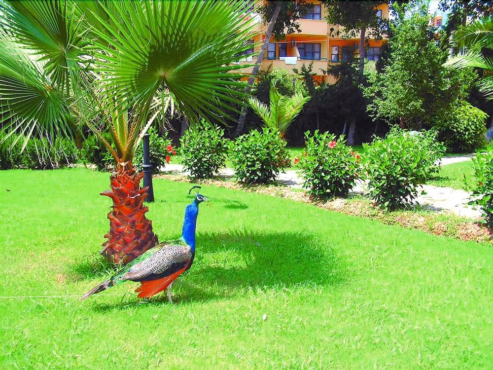 Green Peace Hotel