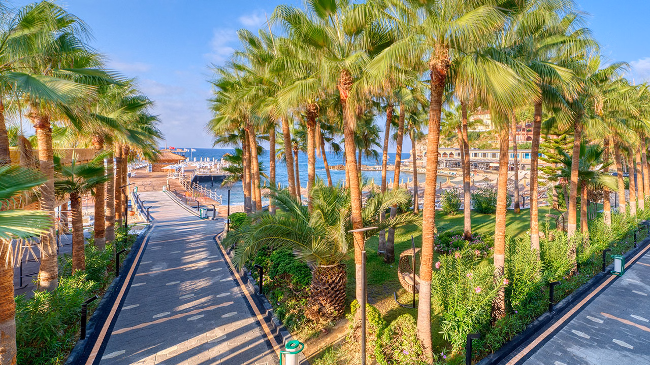 Seven Seas Palmeras Bay