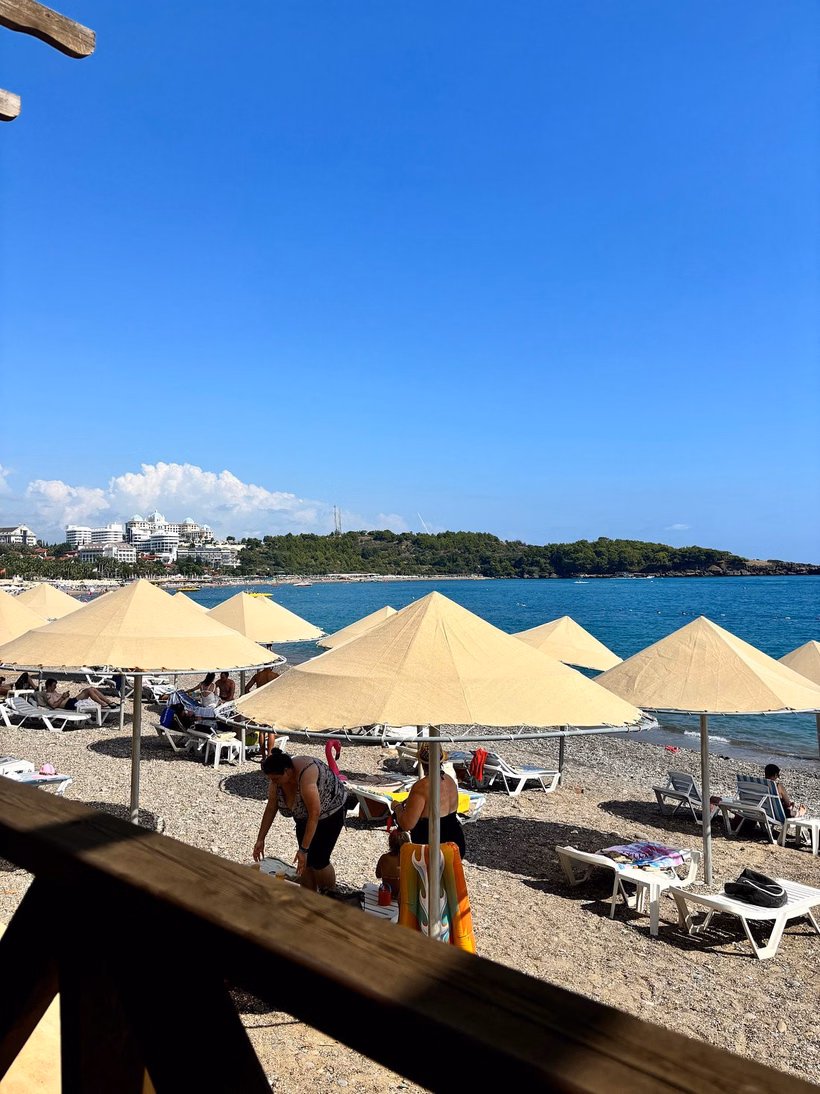 Turkija, Alanija