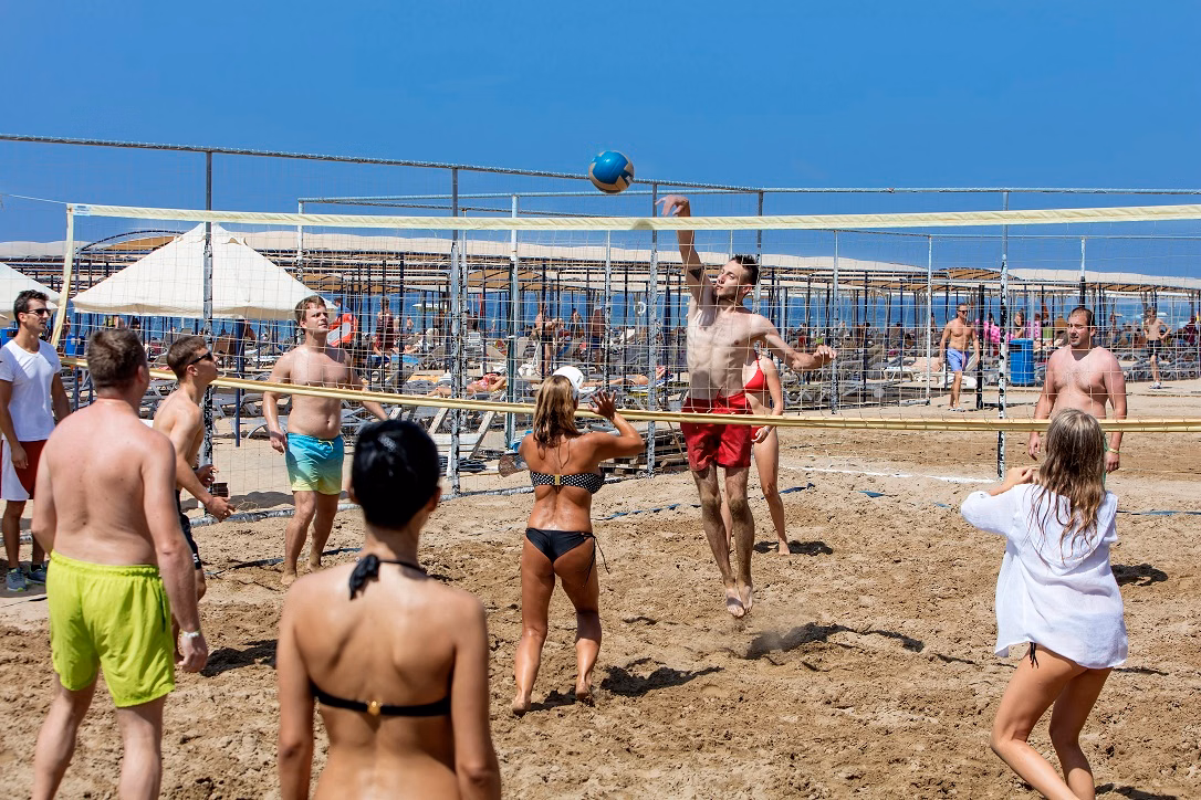 Trendy Verbena Beach