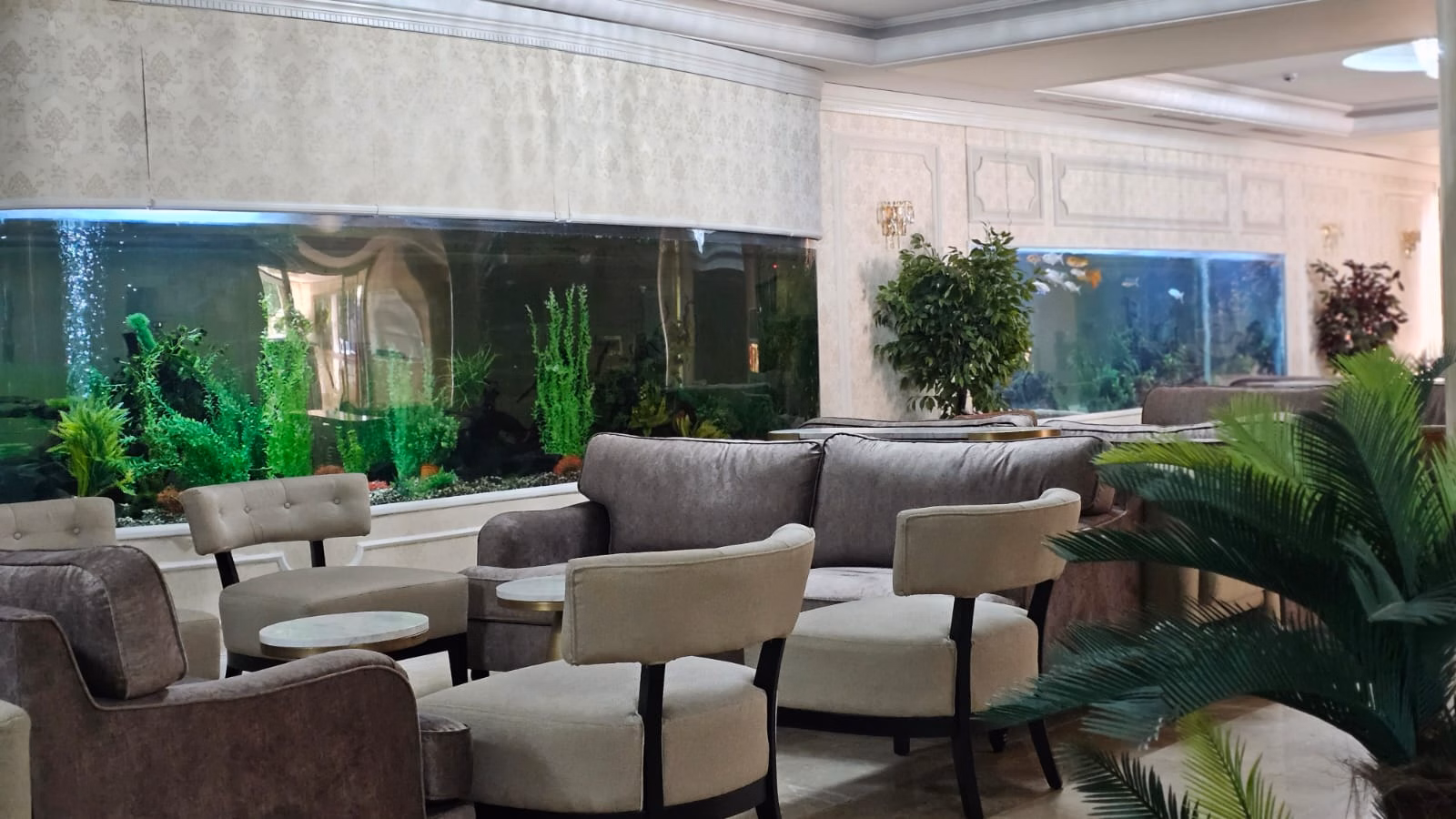 White Gold Hotel