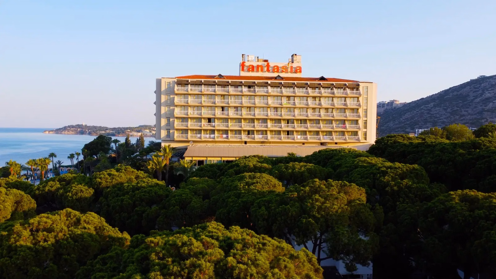 Fantasia De Luxe
