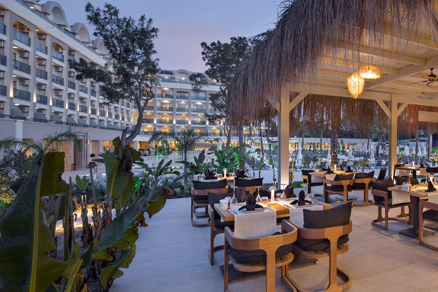 Berry Blue Hotels