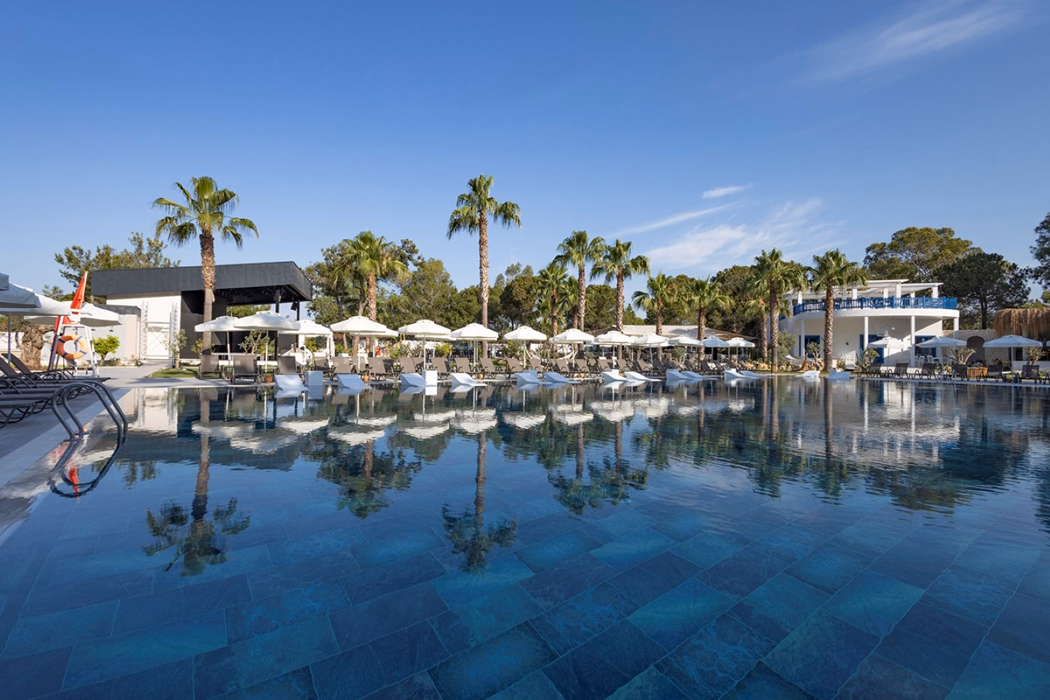 Berry Blue Hotels