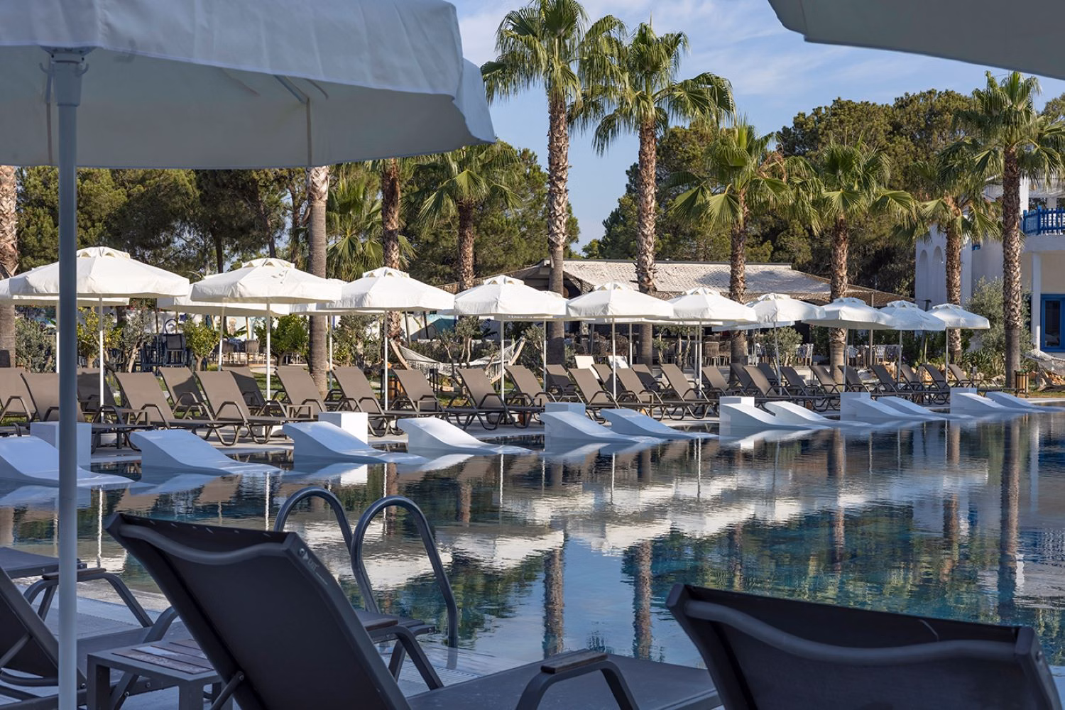 Berry Blue Hotels