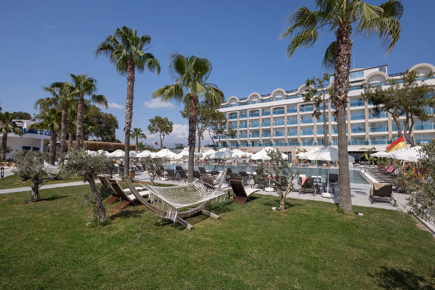 Berry Blue Hotels