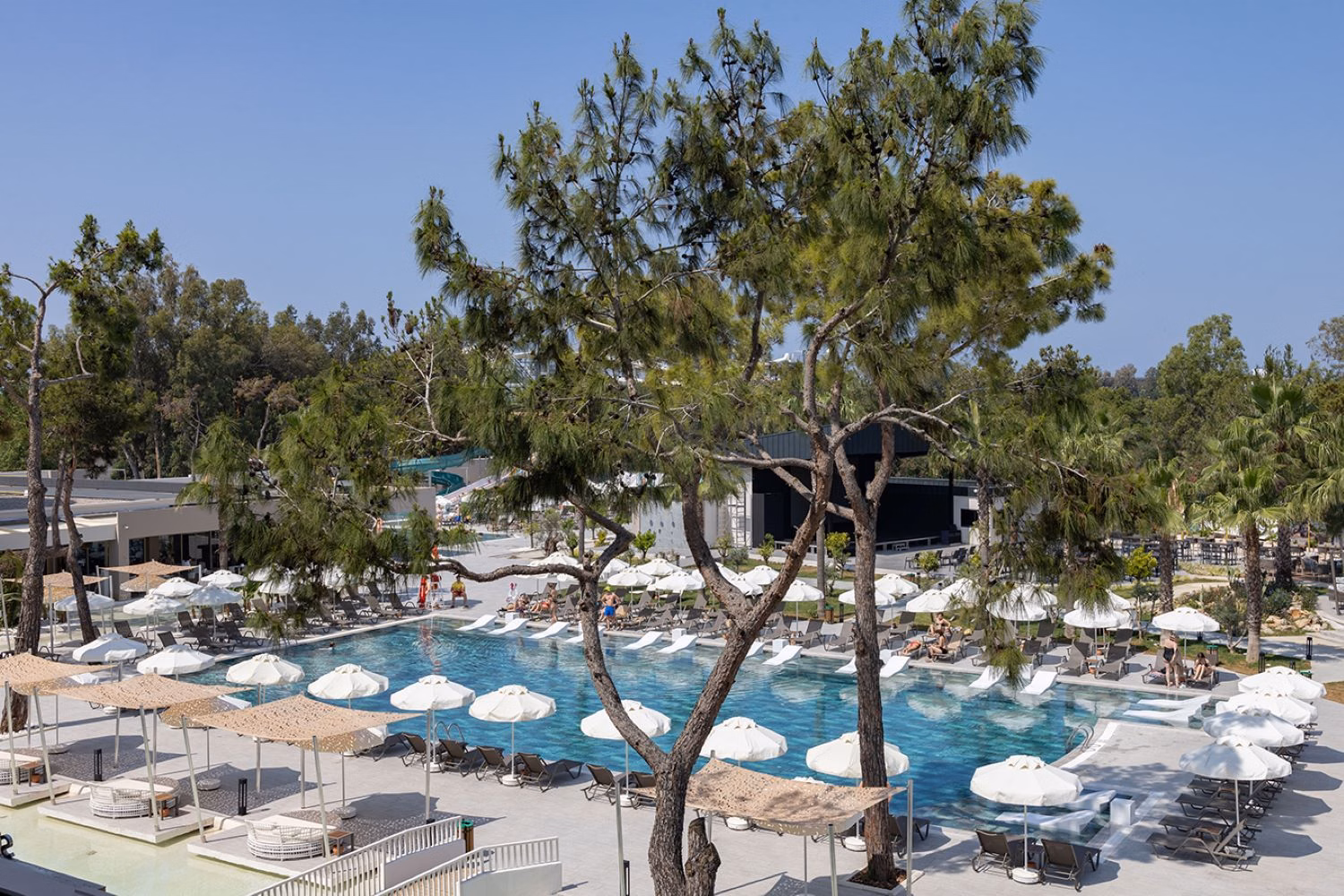 Berry Blue Hotels