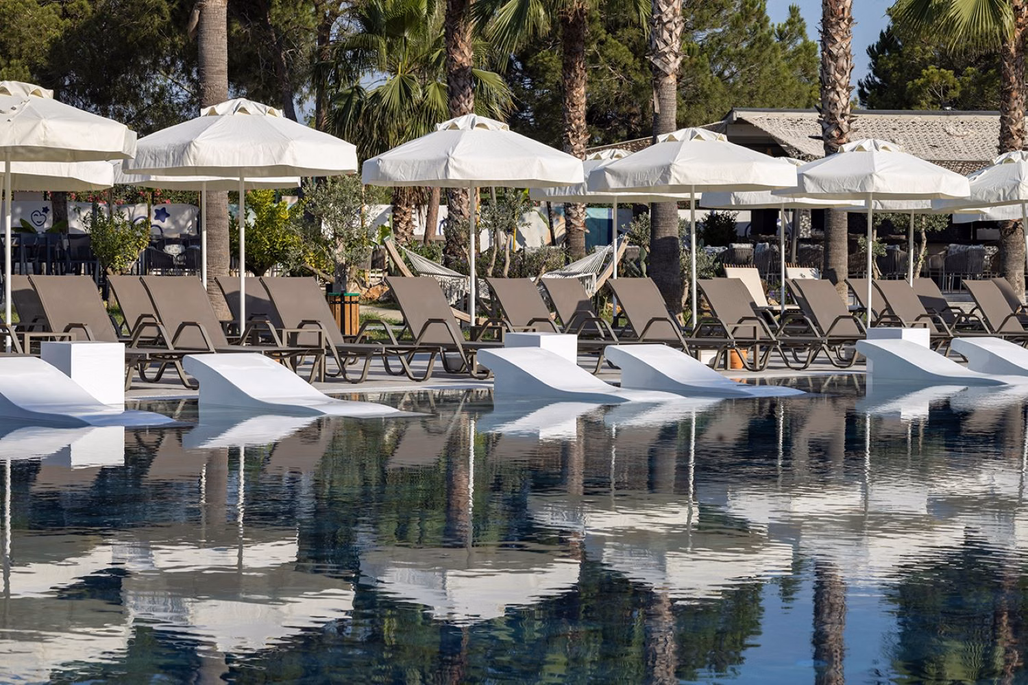 Berry Blue Hotels