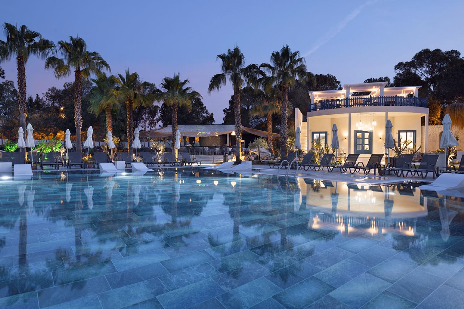 Berry Blue Hotels