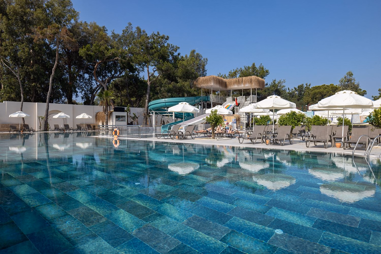 Berry Blue Hotels