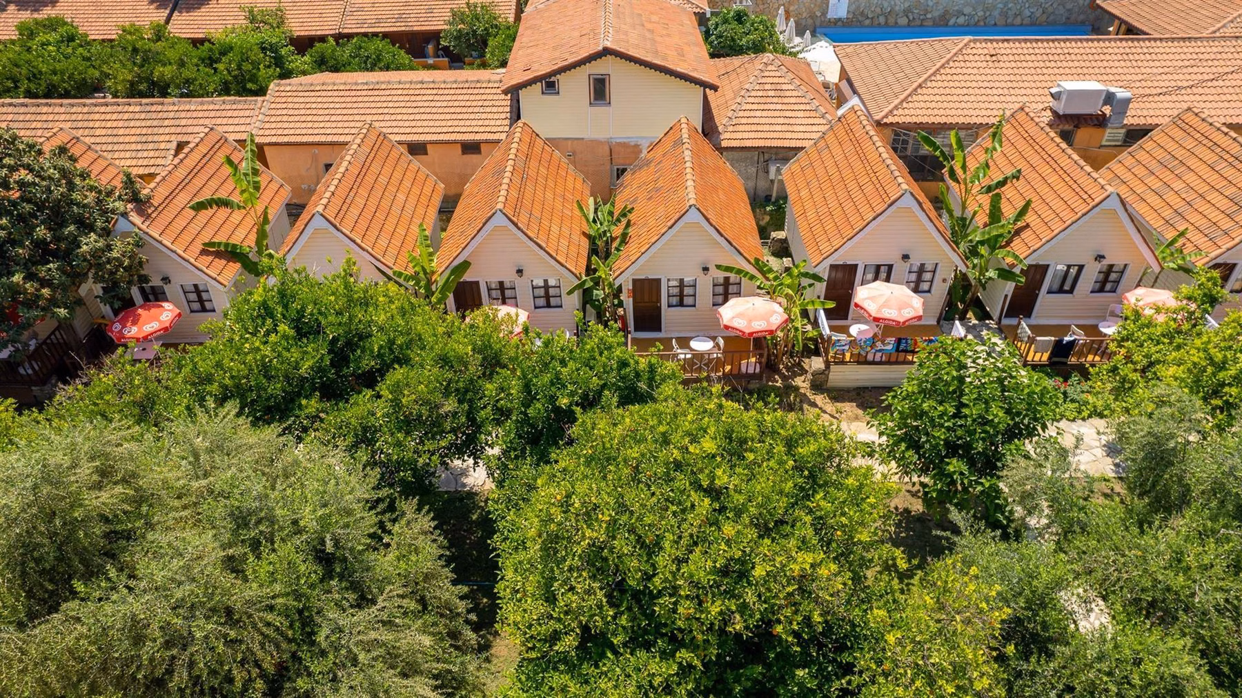 Clover Magic Nova Beach Hotel